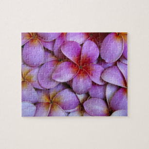 N.A., USA, Maui, Hawaii. Rosa Plumeria-Blüten. Puzzle
