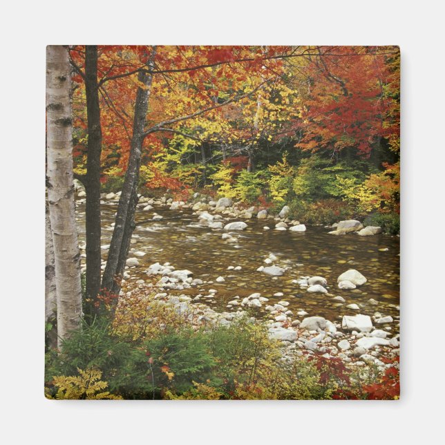 N.A., USA, New Hampshire, White Mountains, Magnet (Vorne)