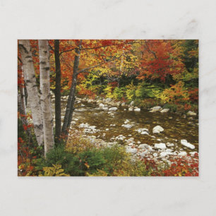 N.A., USA, New Hampshire, White Mountains, Postkarte