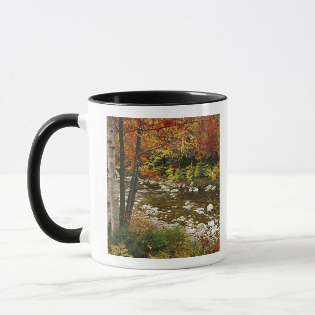 N.A., USA, New Hampshire, White Mountains, Tasse (Links)