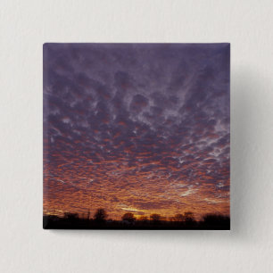 N.A., USA, New Mexico, bei Las Cruces, Button