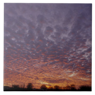 N.A., USA, New Mexico, in der Nähe von Las Cruces, Fliese