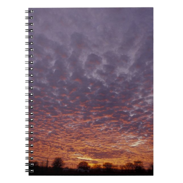 N.A., USA, New Mexico, in der Nähe von Las Cruces, Notizblock (Vorderseite)