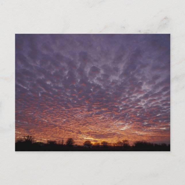 N.A., USA, New Mexico, in der Nähe von Las Cruces, Postkarte (Vorderseite)