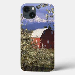 N.A., USA, Oregon, Hood River County. Rot Case-Mate iPhone Hülle