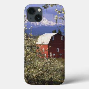 N.A., USA, Oregon, Hood River County. Rot Case-Mate iPhone Hülle