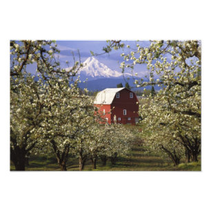 N.A., USA, Oregon, Hood River County. Rot Fotodruck