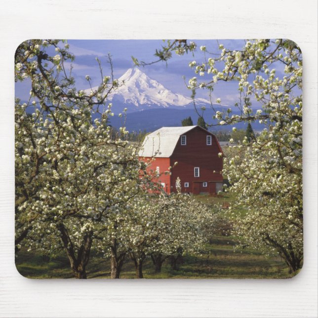 N.A., USA, Oregon, Hood River County. Rot Mousepad (Vorne)