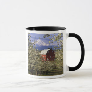 N.A., USA, Oregon, Hood River County. Rot Tasse