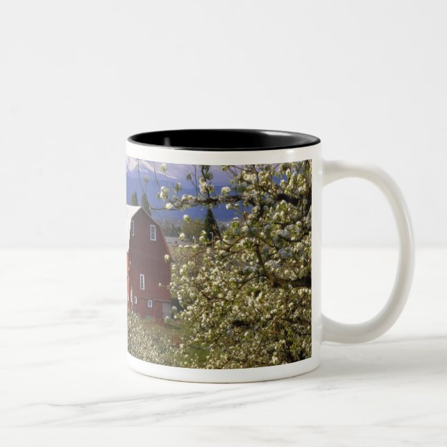N.A., USA, Oregon, Hood River County. Rot Zweifarbige Tasse (Rechts)