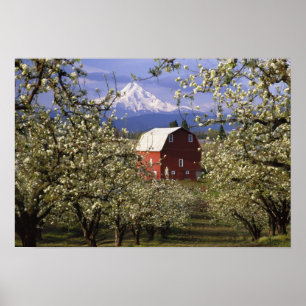 N.A., USA, Oregon, Hood River Landkreis. Rot Poster