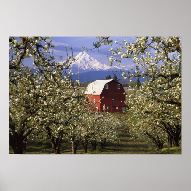 N.A., USA, Oregon, Hood River Landkreis. Rot Poster (Vorne)