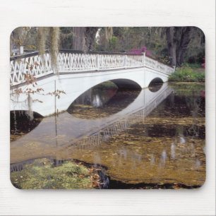 N.A., USA, South Carolina, Charleston.Magnolie Mousepad