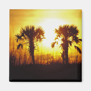 N.A., USA, South Carolina, Charleston. Sonnenunter Magnet