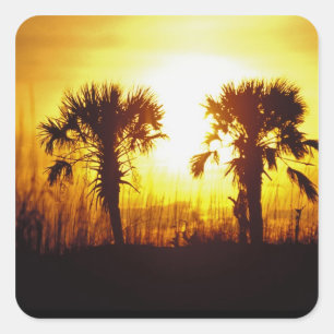 N.A., USA, South Carolina, Charleston. Sonnenunter Quadratischer Aufkleber