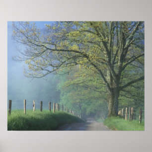 N.A., USA, Tennessee, Smokey Mts. Nationalpark, Poster