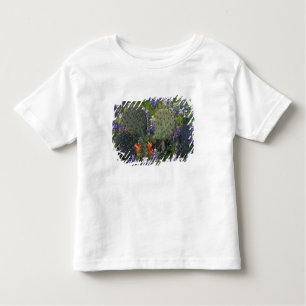N.A., USA, Texas, Cactus, umgeben von Kleinkind T-shirt