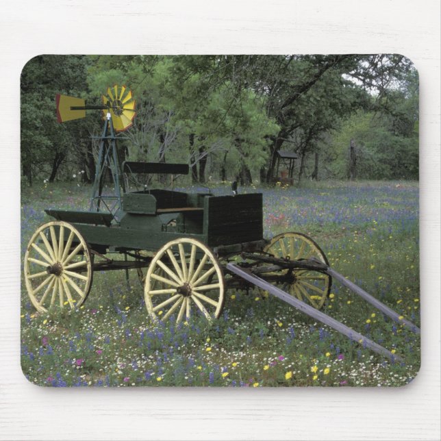N.A., USA, Texas, Devine, alter Lastwagen und Mousepad (Vorne)