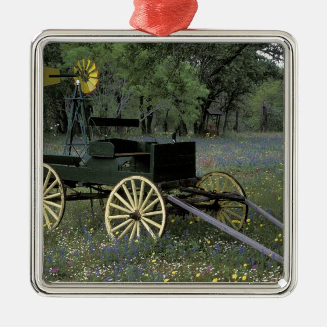 N.A., USA, Texas, Devine, alter Lastwagen und Silbernes Ornament (Vorne)