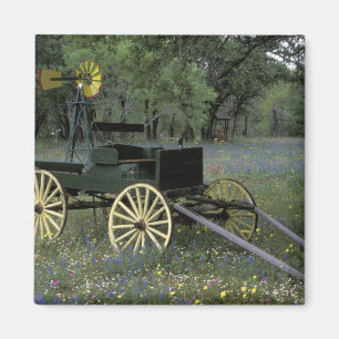 N.A., USA, Texas, Devine, Alter Wagen und Magnet