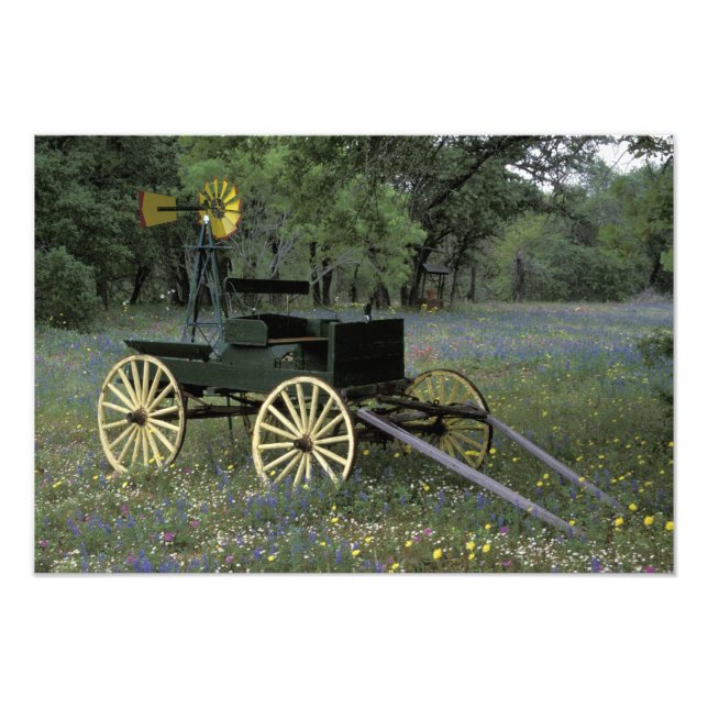 N.A., USA, Texas, Devine, Old Waggon und Fotodruck (Vorne)