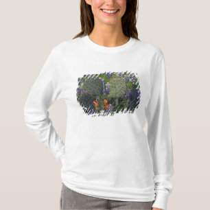 N.A., USA, Texas, Kaktus umgeben von T-Shirt