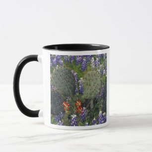 N.A., USA, Texas, Kaktus umgeben von Tasse