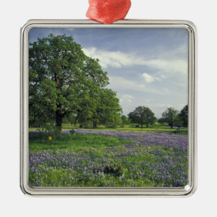 N.A, USA, Texas, Lake Buchanan, Eichen und Blau Ornament Aus Metall