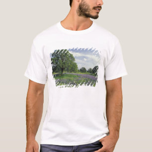 N.A, USA, Texas, Lake Buchanan, Eichen und Blau T-Shirt