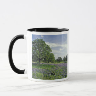 N.A, USA, Texas, Lake Buchanan, Eichen und Blau Tasse
