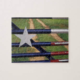 N.A., USA, Texas, Lake Buchanan, Flagge von Texas Puzzle