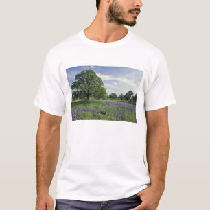 N.A., USA, Texas, Lake Buchanan, Oaks und Blue T-Shirt