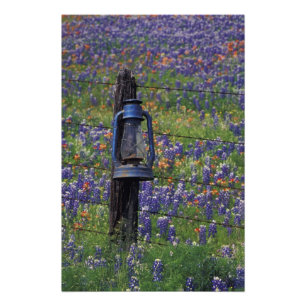 N.A., USA, Texas, Llano, Blaue Laterne und Fotodruck