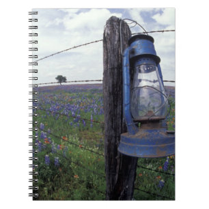 N.A., USA, Texas, Llano, Blue Lantern, Eiche Notizblock