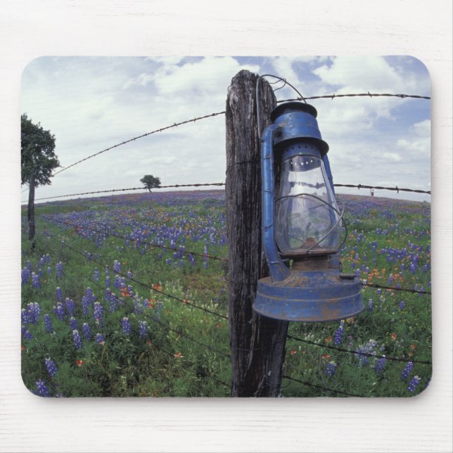N.A., USA, Texas, Llano, Blue Lantern, Eichenbaum Mousepad (Vorne)