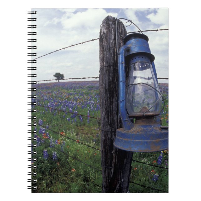 N.A., USA, Texas, Llano, Blue Lantern, Eichenbaum Notizblock (Vorderseite)