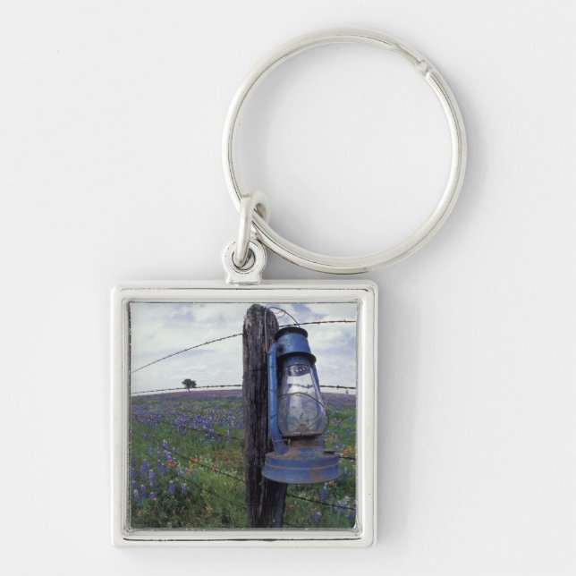 N.A., USA, Texas, Llano, Blue Lantern, Eichenbaum Schlüsselanhänger (Vorne)