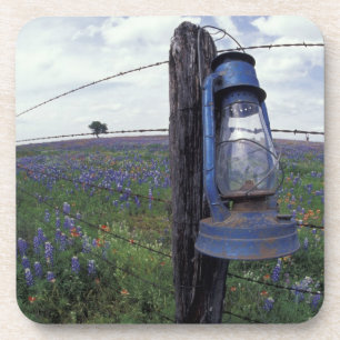 N.A., USA, Texas, Llano, Blue Lantern, Eichenbaum Untersetzer