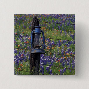 N.A., USA, Texas, Llano, Blue Lantern und Button