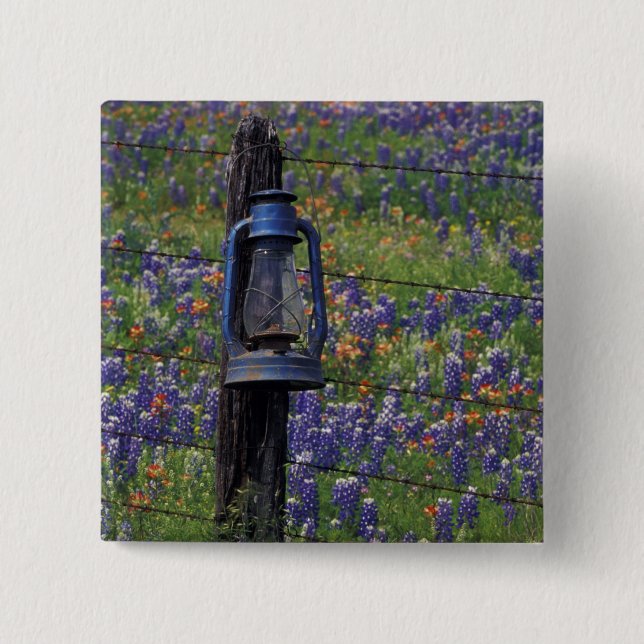 N.A., USA, Texas, Llano, Blue Lantern und Button (Vorderseite)