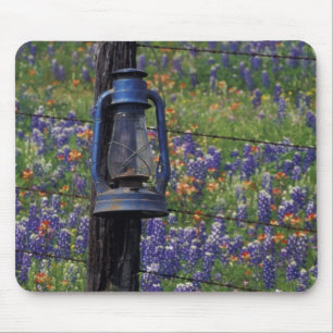 N.A., USA, Texas, Llano, Blue Lantern und Mousepad