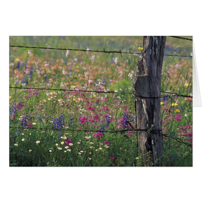 N.A., USA, Texas, Lytle, Zaun und (Vorderseite (Horizontal))