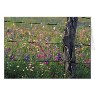 N.A., USA, Texas, Lytle, Zaunposten und