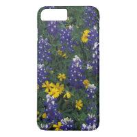 N.A., USA, Texas, Marble Falls, Blue Bonnets