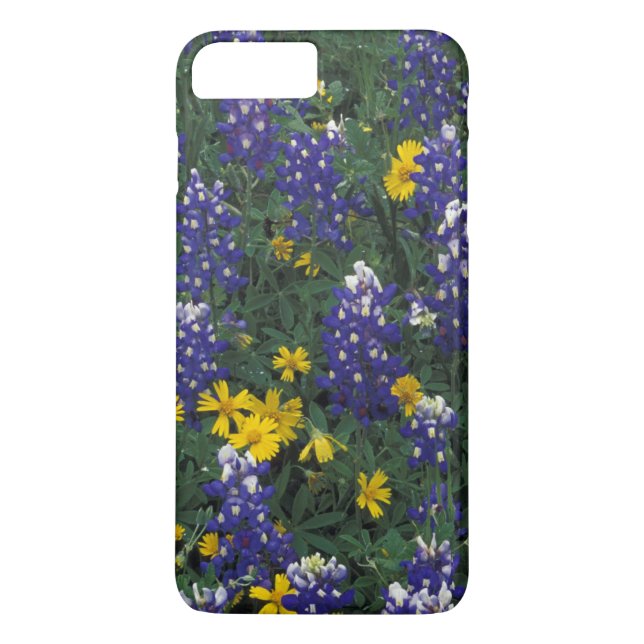N.A., USA, Texas, Marble Falls, Blue Bonnets Case-Mate iPhone Hülle (Rückseite)