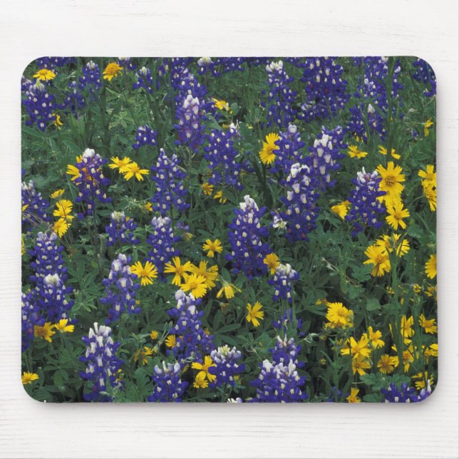 N.A., USA, Texas, Marble Falls, Blue Bonnets Mousepad (Vorne)