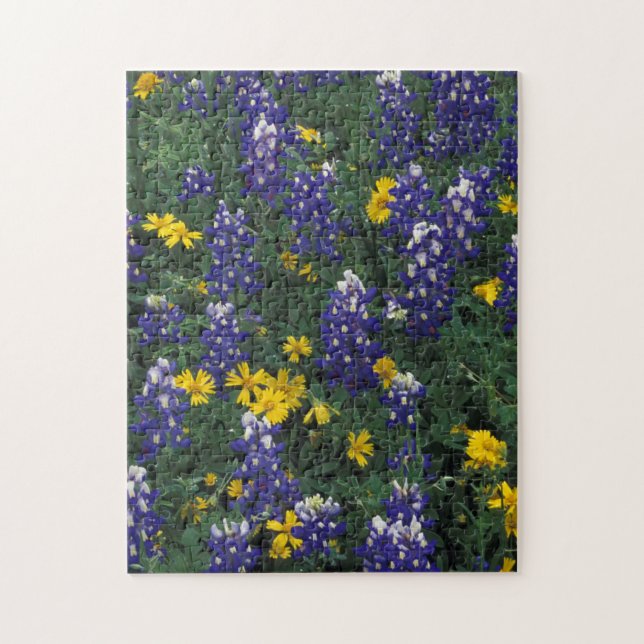 N.A., USA, Texas, Marble Falls, Blue Bonnets Puzzle (Vertikal)
