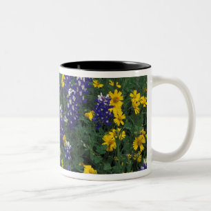 N.A., USA, Texas, Marble Falls, Blue Bonnets Zweifarbige Tasse