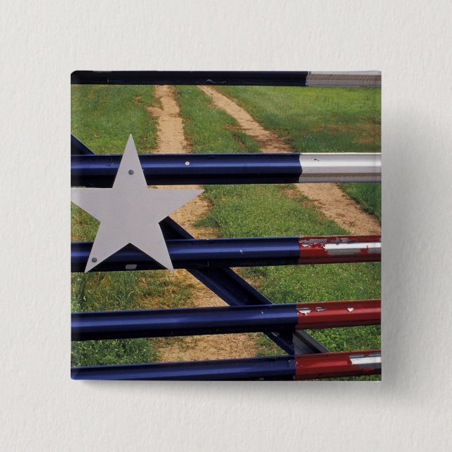 N.A., USA, Texas, See Buchanan, Texas-Flagge Button (Vorderseite)