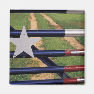 N.A., USA, Texas, See Buchanan, Texas-Flagge Magnet